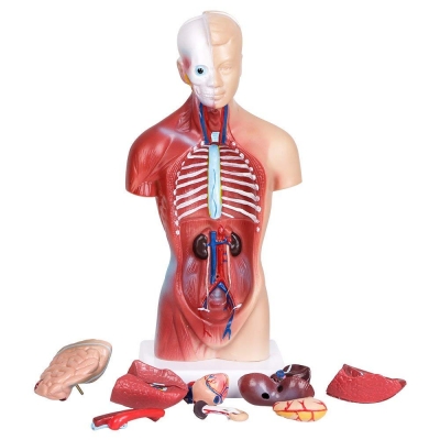Biology Laboratory Equipment